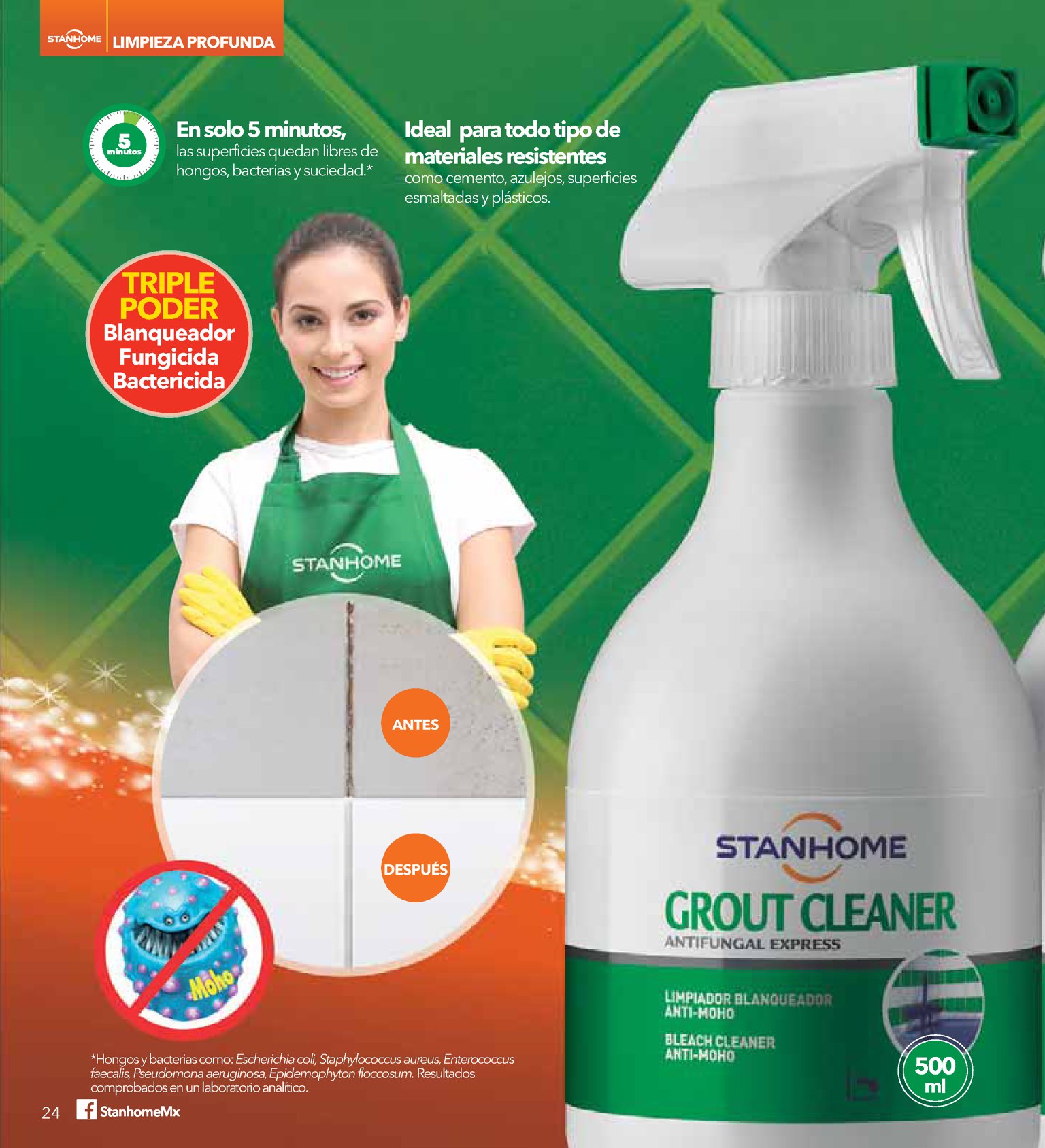 Stanhome Grout Cleaner Limpiador Anti Moho 500 Ml - $ 140
